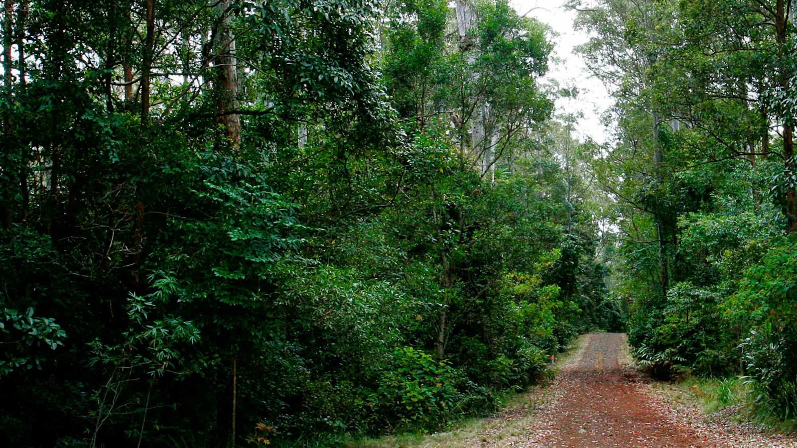 Cambridge Plateau Scenic Drive