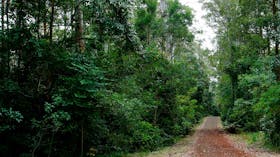 Cambridge Plateau Scenic Drive