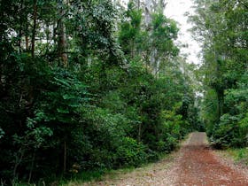 Cambridge Plateau Scenic Drive