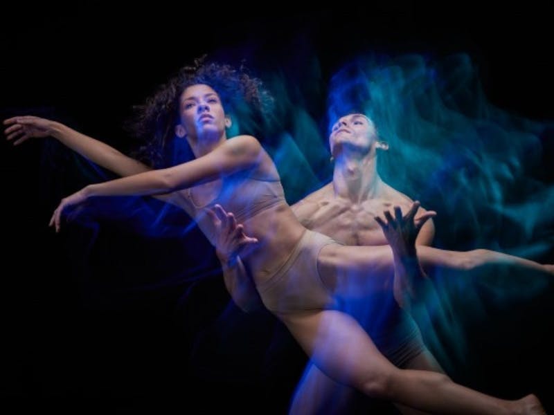 Image for Sydney Dance Company's momenta
