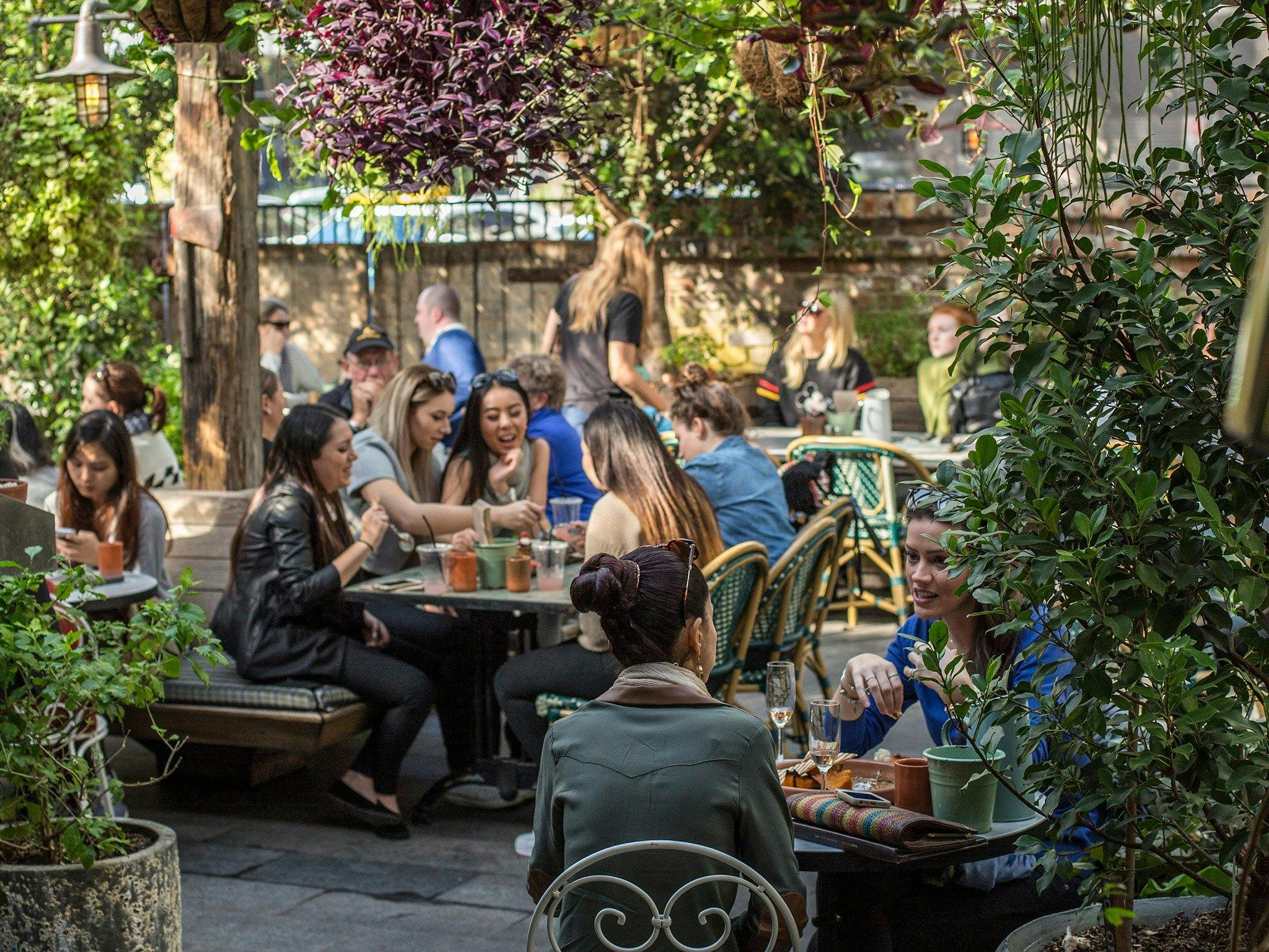 Mittagessen im Potting Shed auf dem Gelände von Alexandria, Sydney