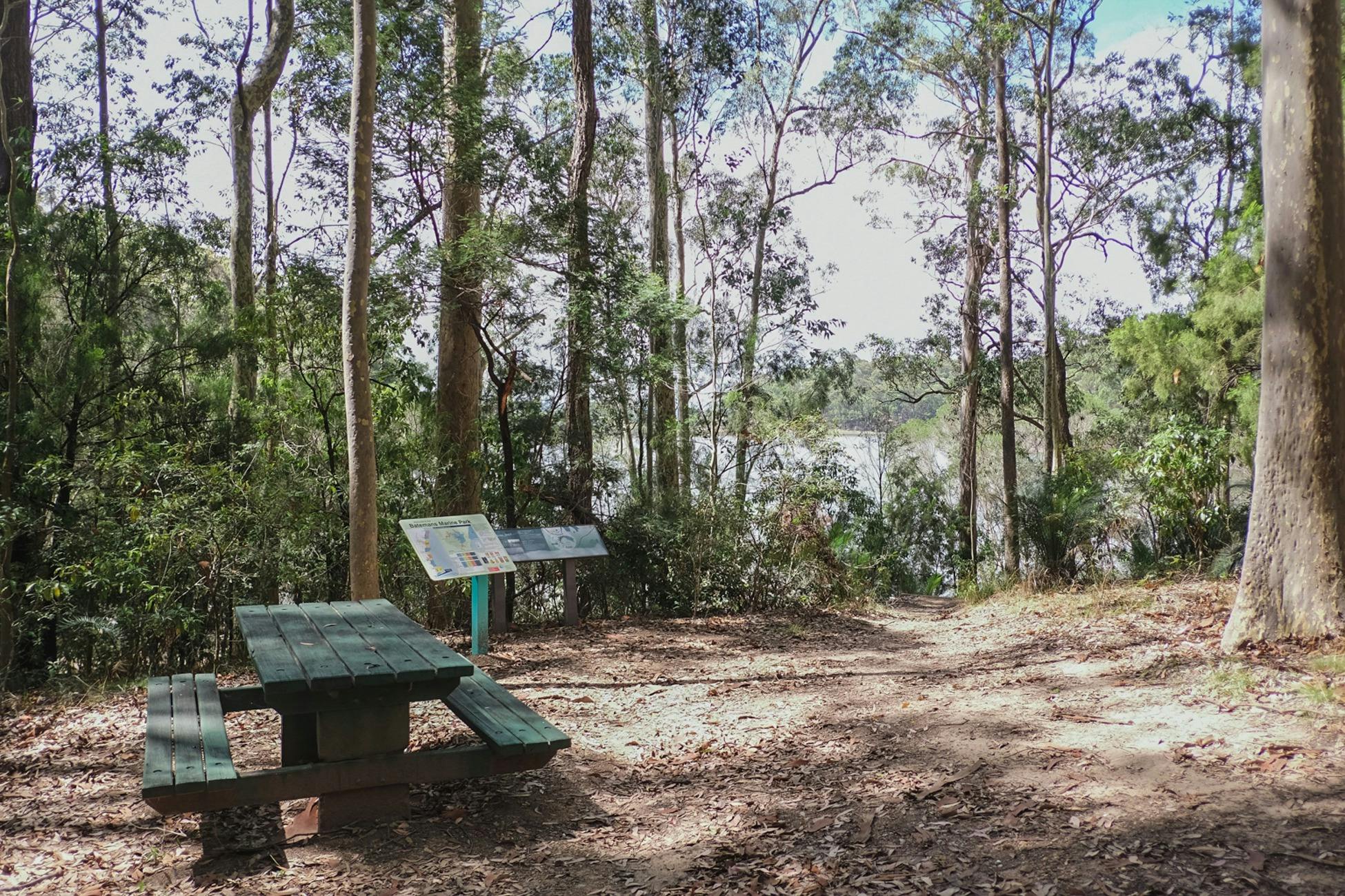 Bermagui Picnic Area