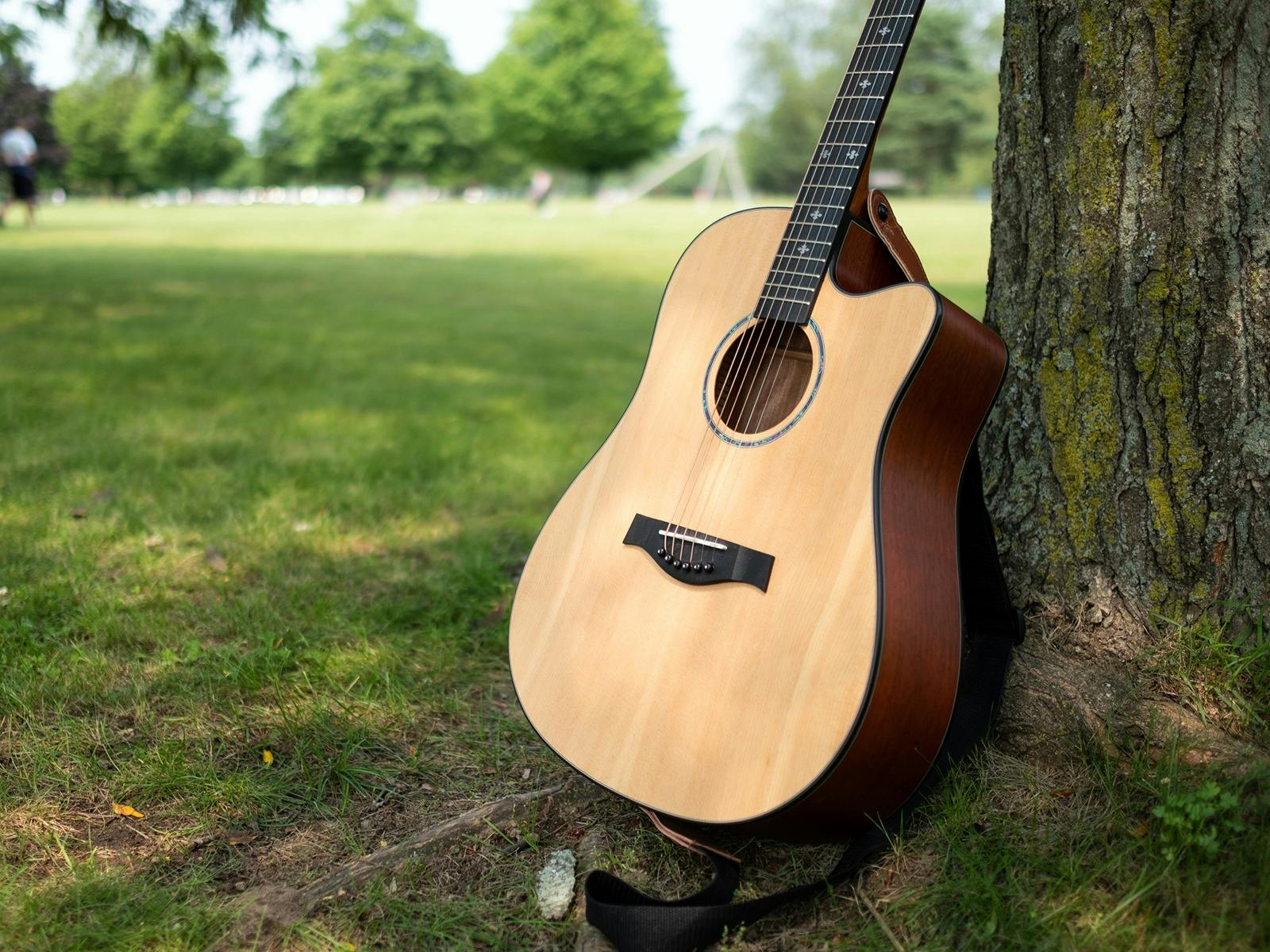 Acoustic guitar positioned in park