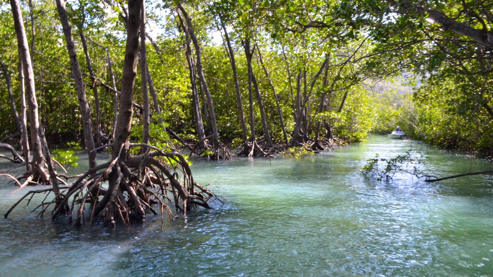 Get Around Island Boat Tours and Hire