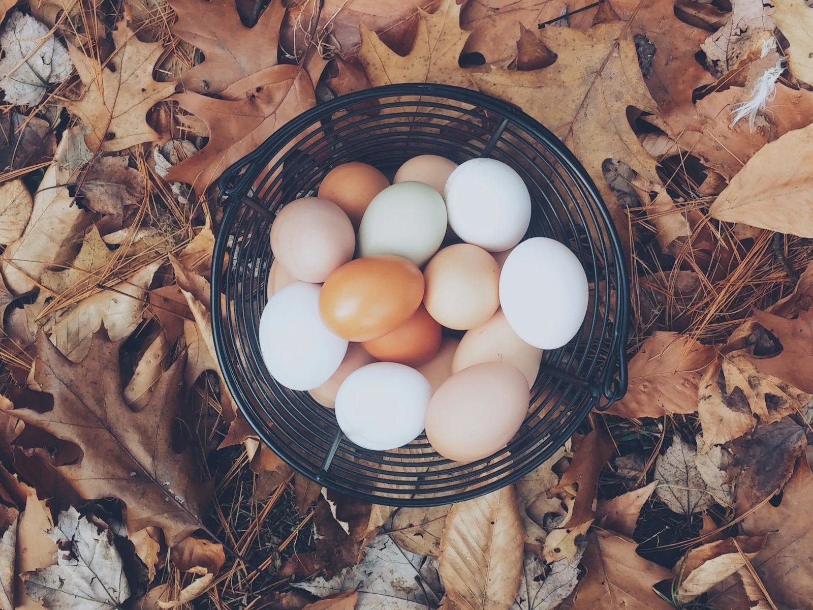 Fresh eggs from our girls they way you like them.