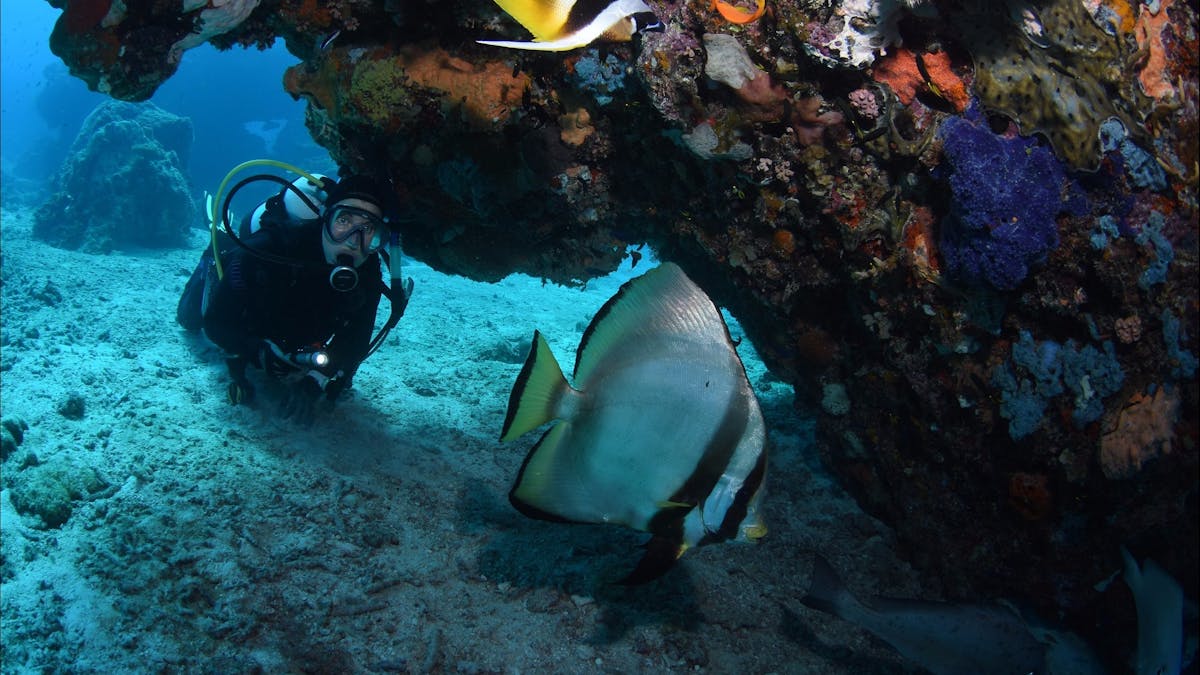 Coral Canyons