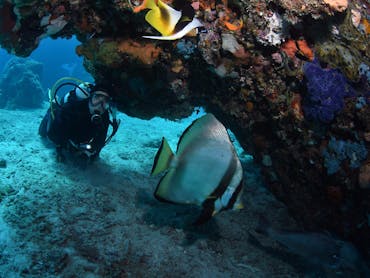 Coral Canyons