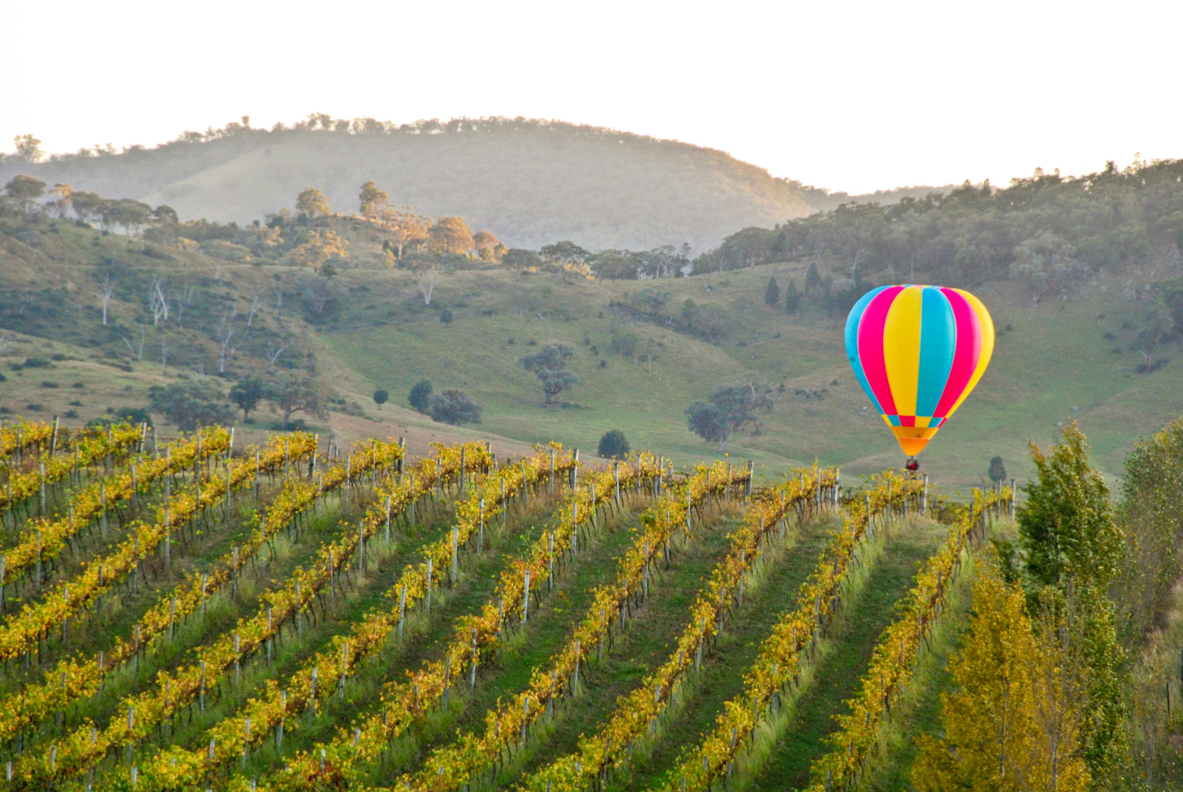 Sunrise Balloon Flight