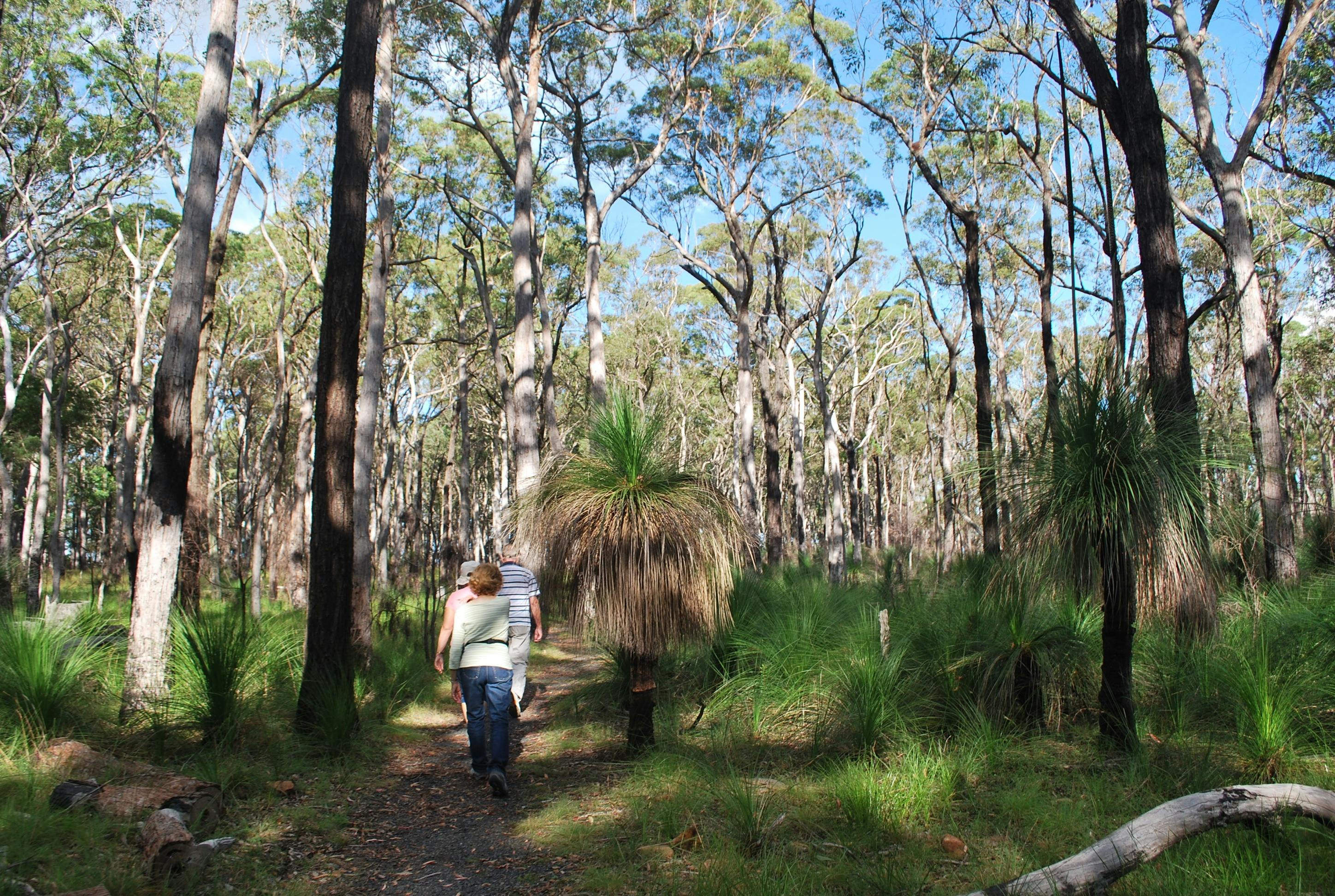 Walking at Mt French area, Moogerah Peaks National Park
