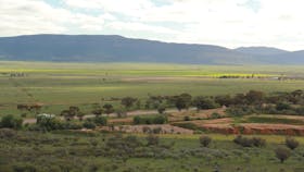 Camel Hump Lookout Walk