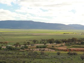 Yourambulla Range from Hawker