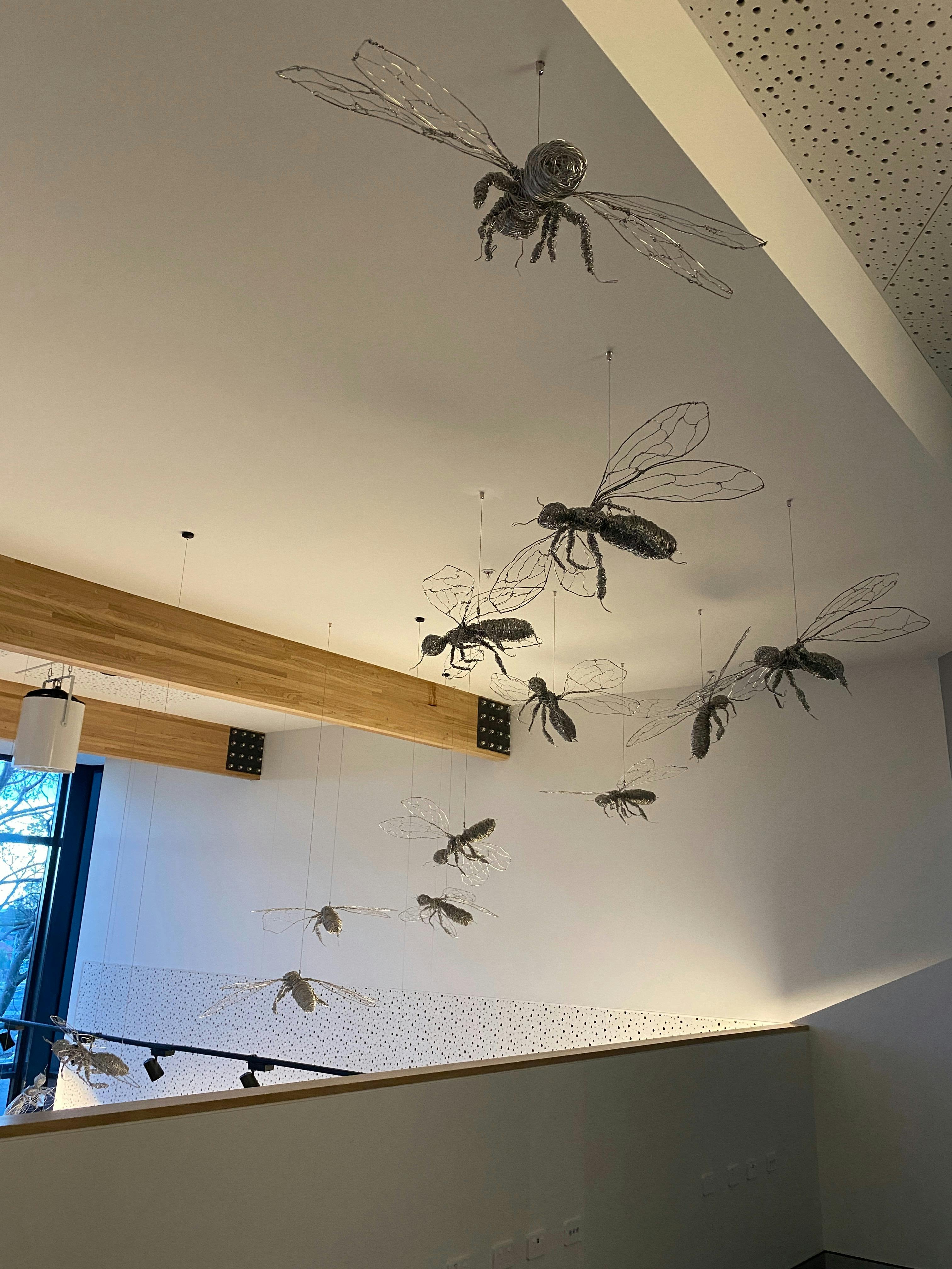 Hive Commission Art hanging in Ulverstone Visitor Information Centre