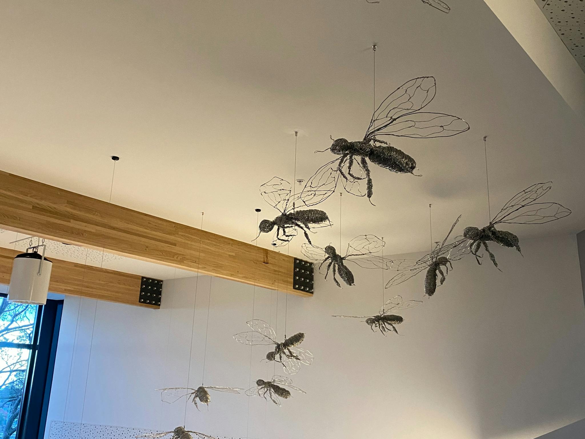 Hive Commission Art hanging in Ulverstone Visitor Information Centre