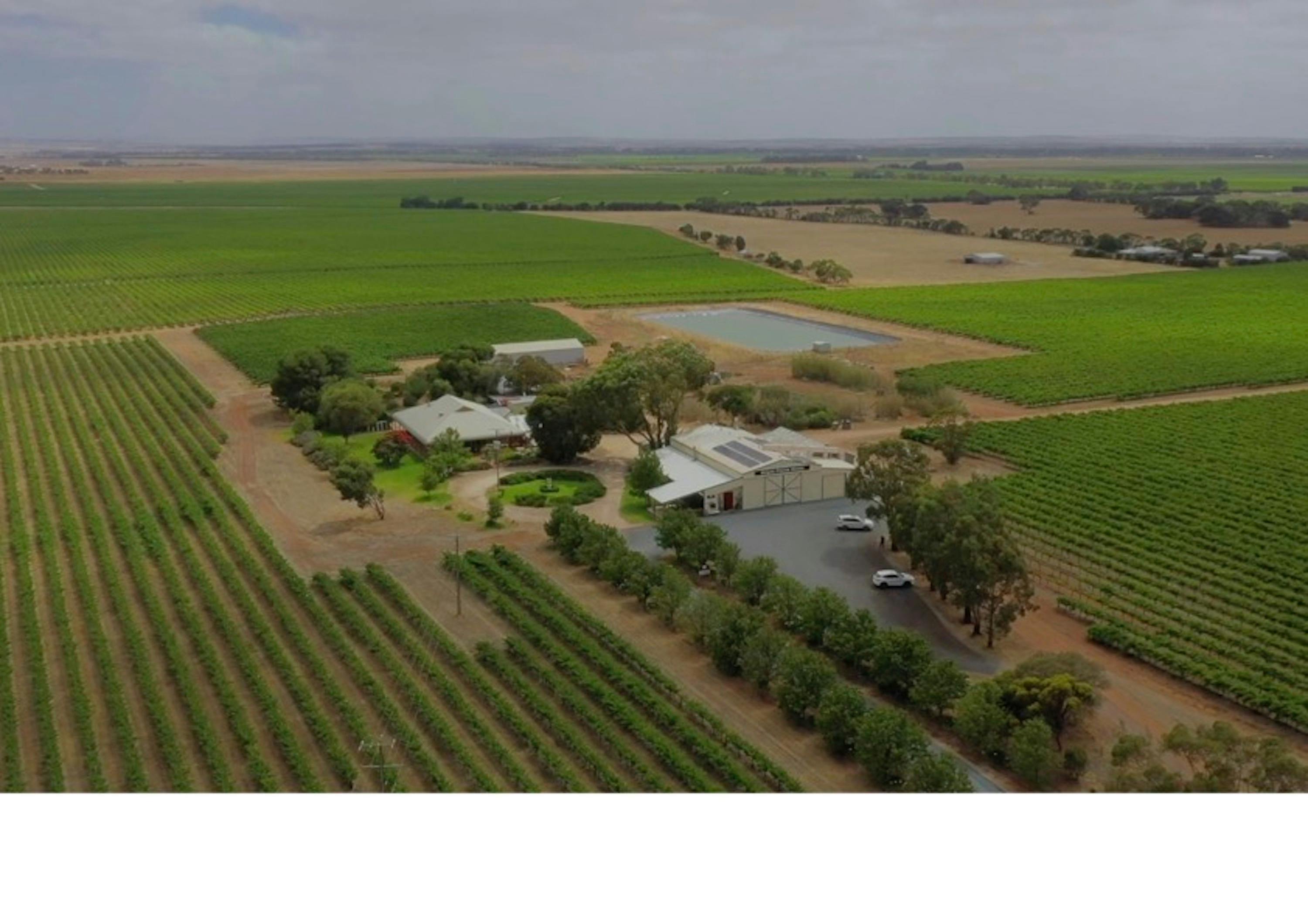 Heli Lunch - Langhorne Creek - Angas Plains Estate