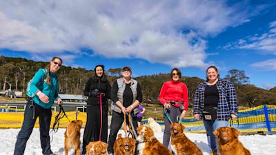 A group of people and dogs standing in snow, looking at the camera and smiling