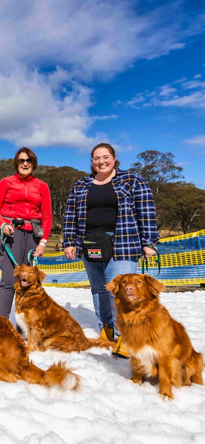 A group of people and dogs standing in snow, looking at the camera and smiling