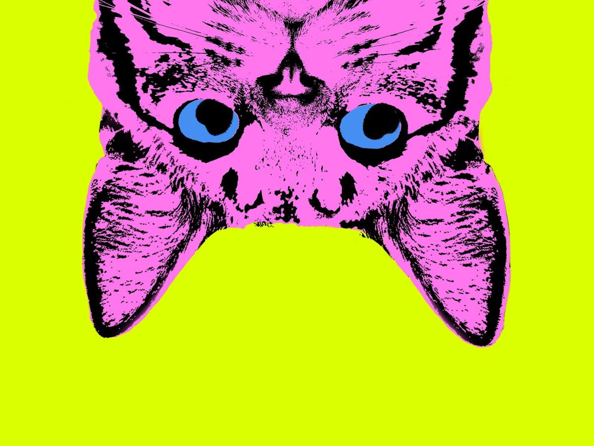 A cartoon cat peeping out from the top of the image looking curious.
