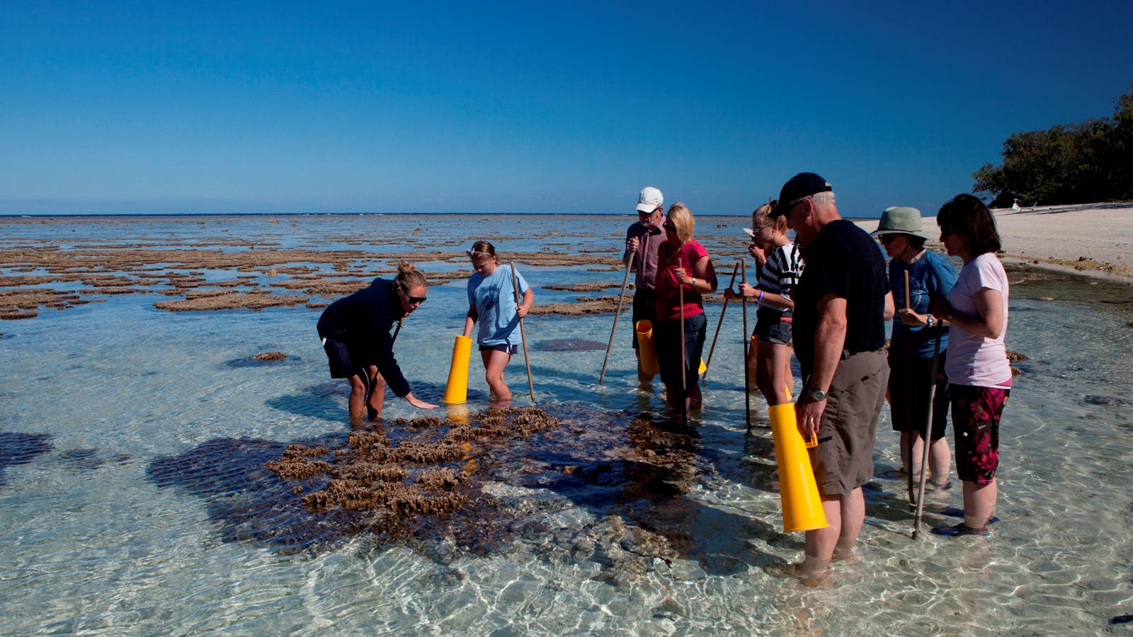 Great Barrier Reef Day Trip to Lady Elliot Island - Hervey Bay & Bundaberg