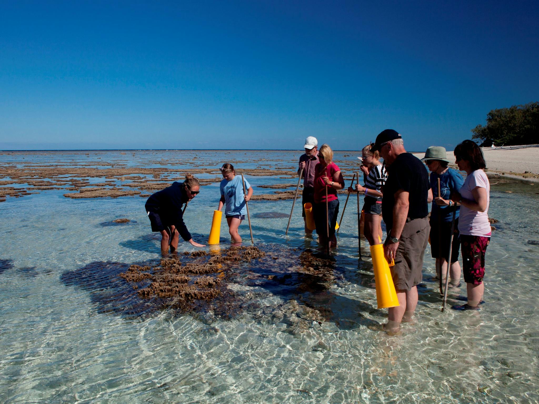 Reef walking, Lady Elliot Island