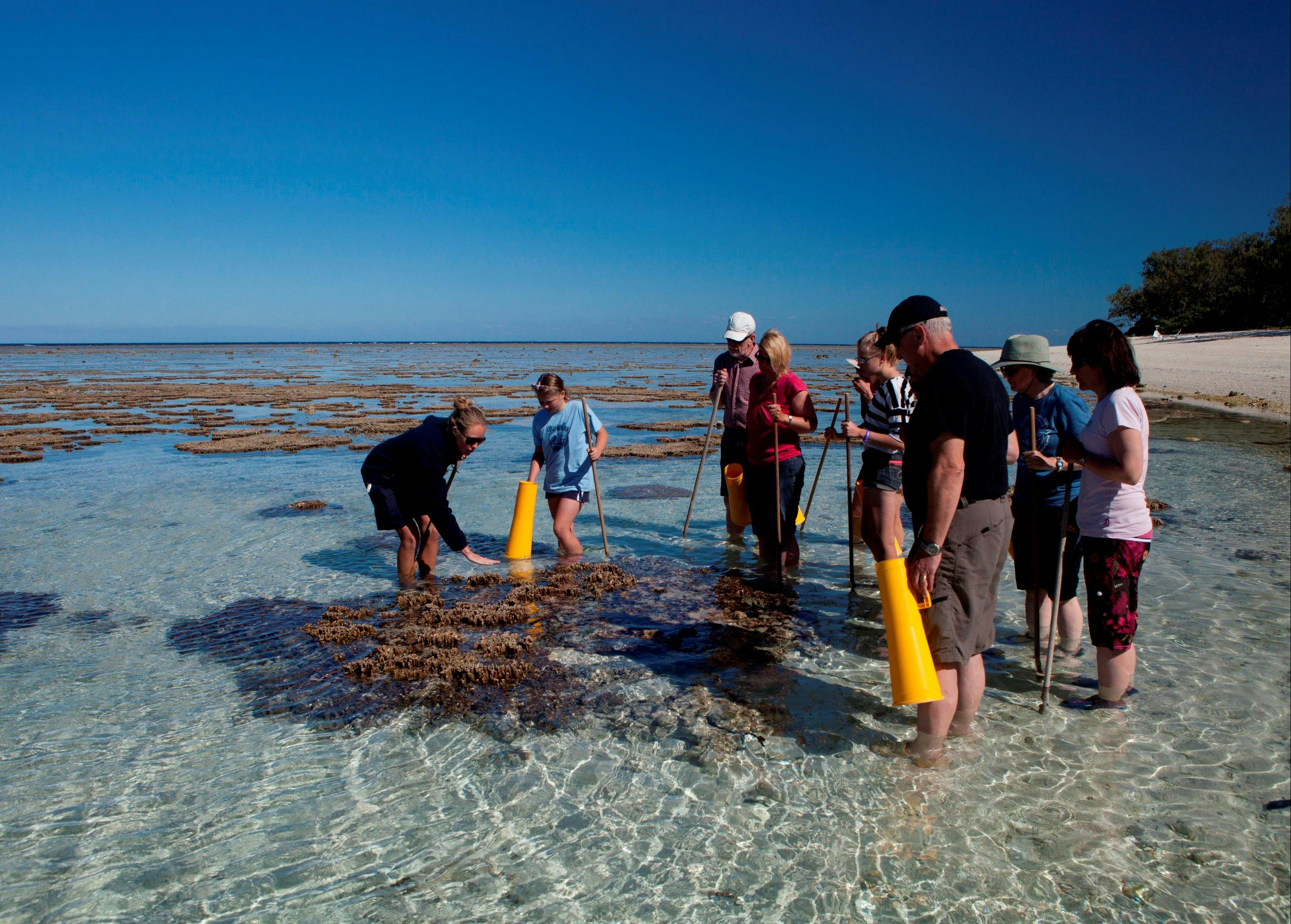 Reef walking, Lady Elliot Island