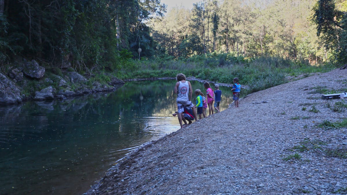 A family splays near the creek edge surrounded by forest.