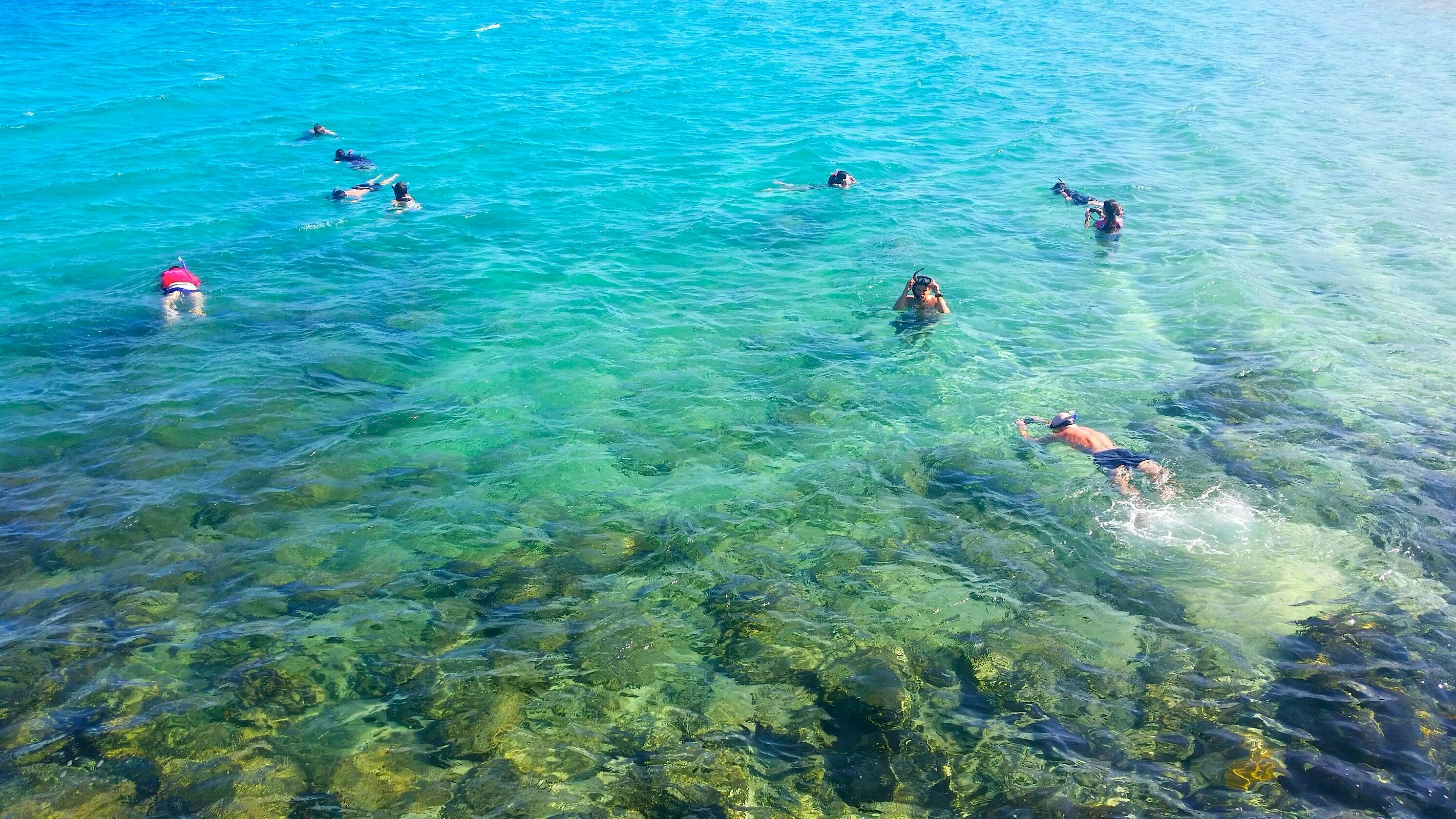Snorkelling