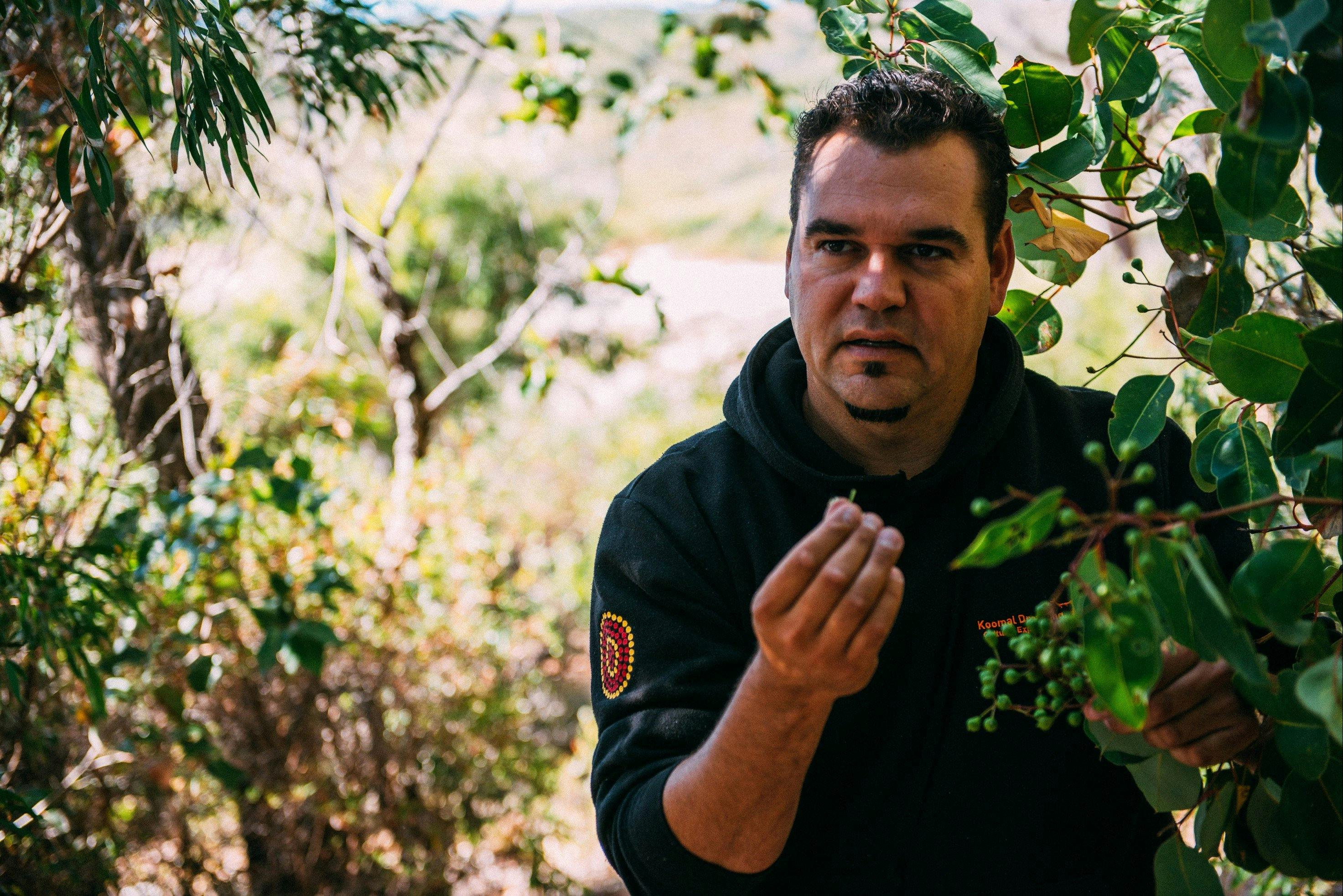 Learn about Native Foods