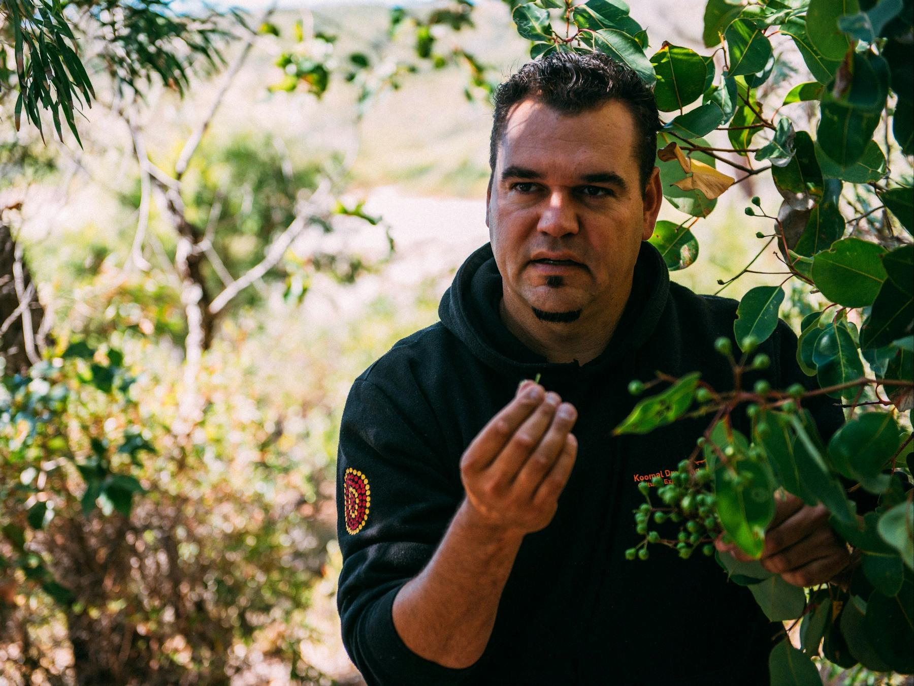 Koomal Dreaming, Yallingup, Western Australia