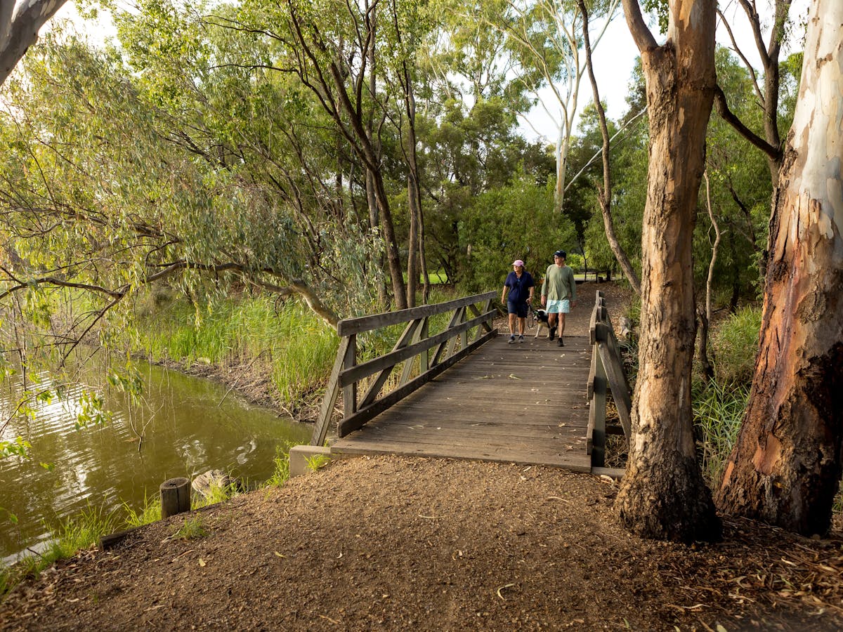 People walking at the Botanic Gardens Goondiwindi