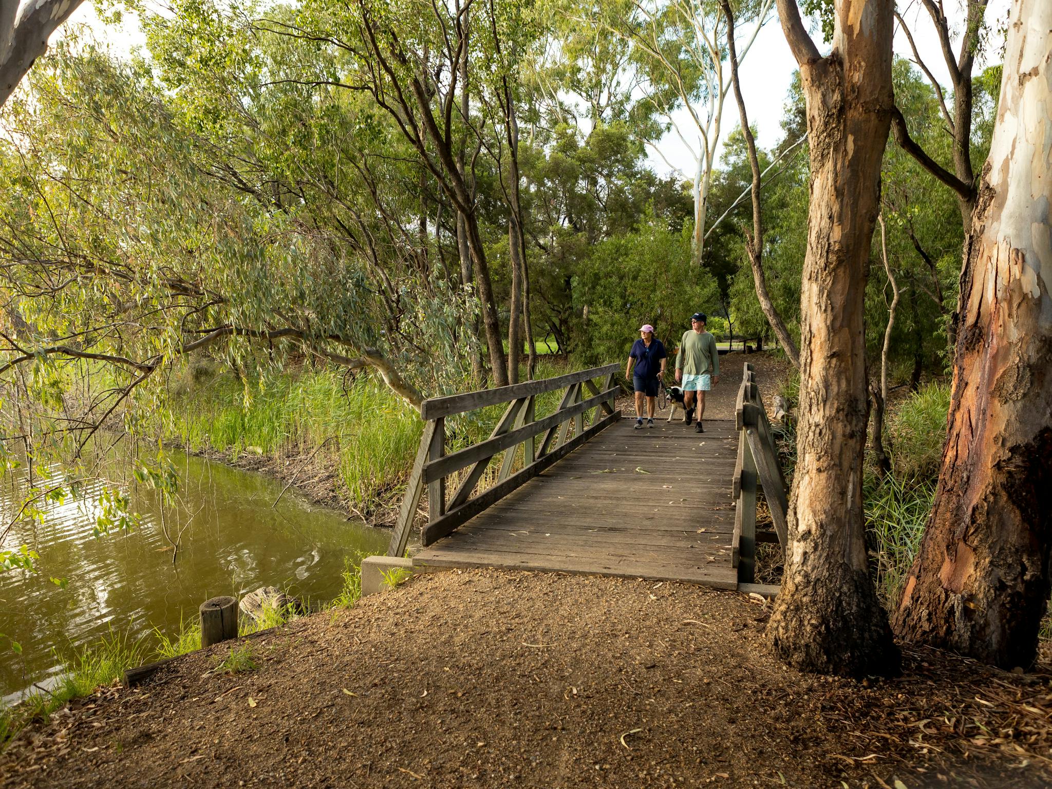 People walking at the Botanic Gardens Goondiwindi People walking at the Botanic Gardens Goondiwindi