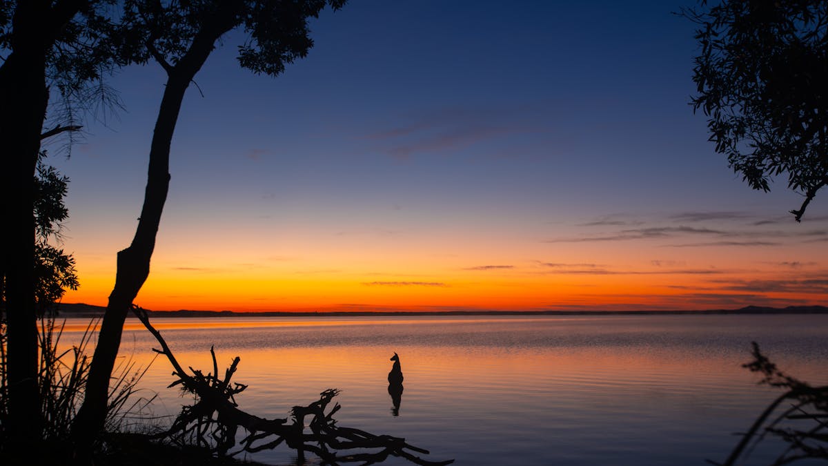 Sunrise at Habitat