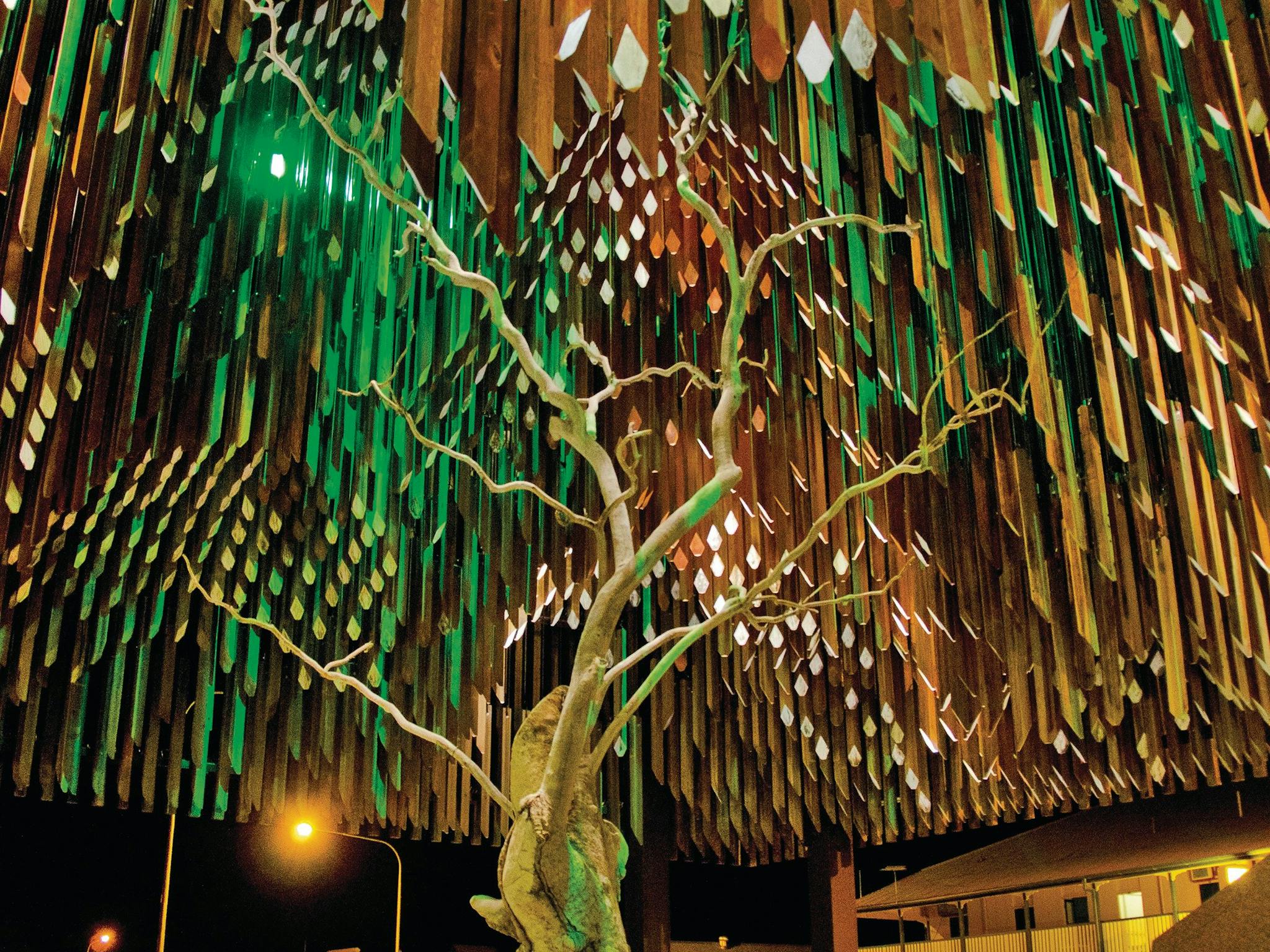 Barcaldine Tree of Knowledge Barcaldine Tree of Knowledge