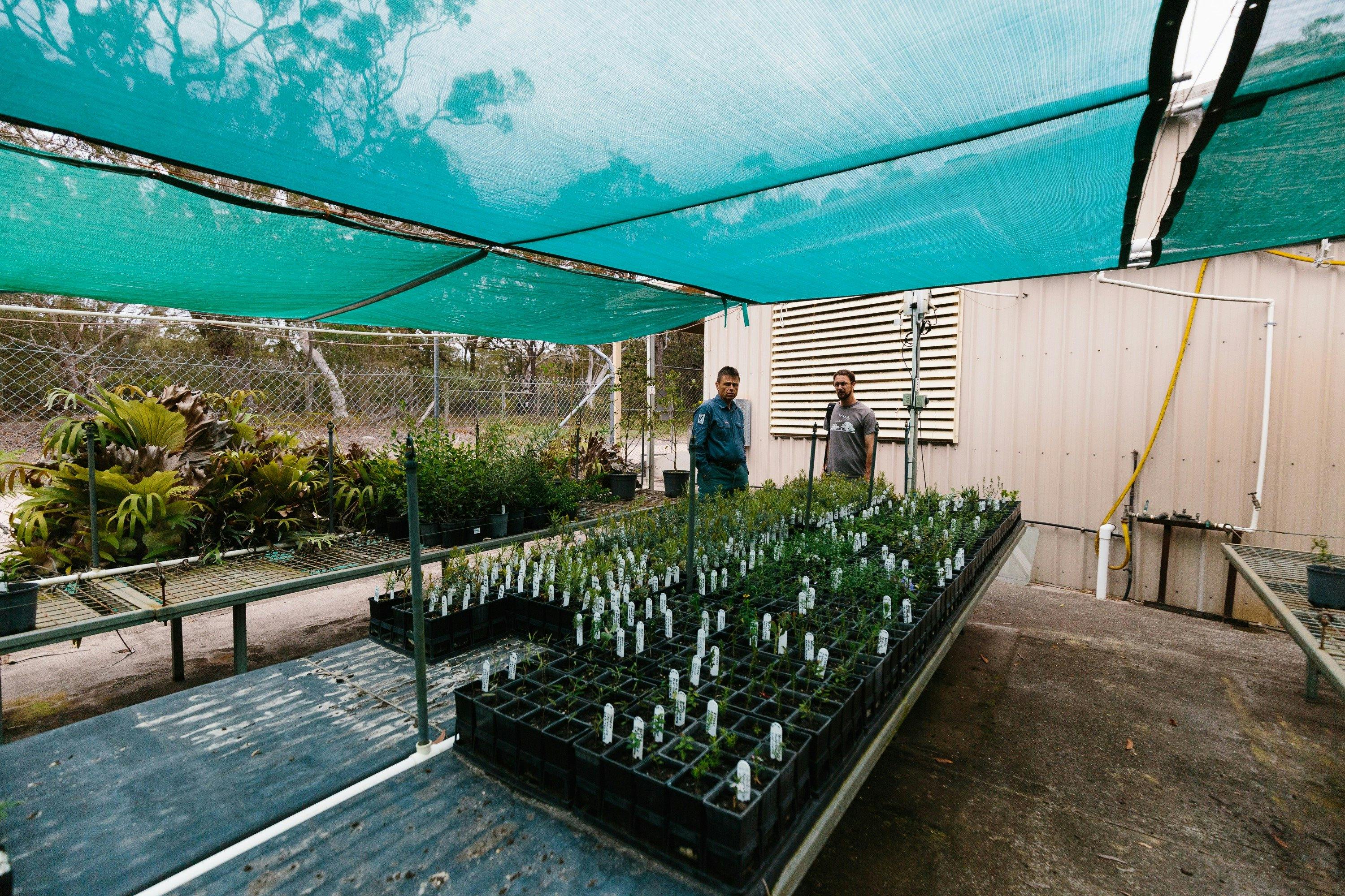 Botanic Gardens, Booderee National Park