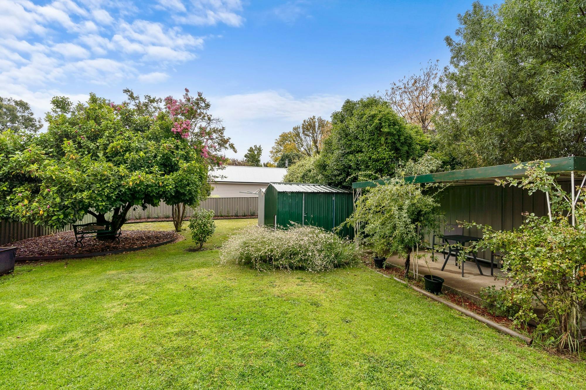 Backyard with grass and shed