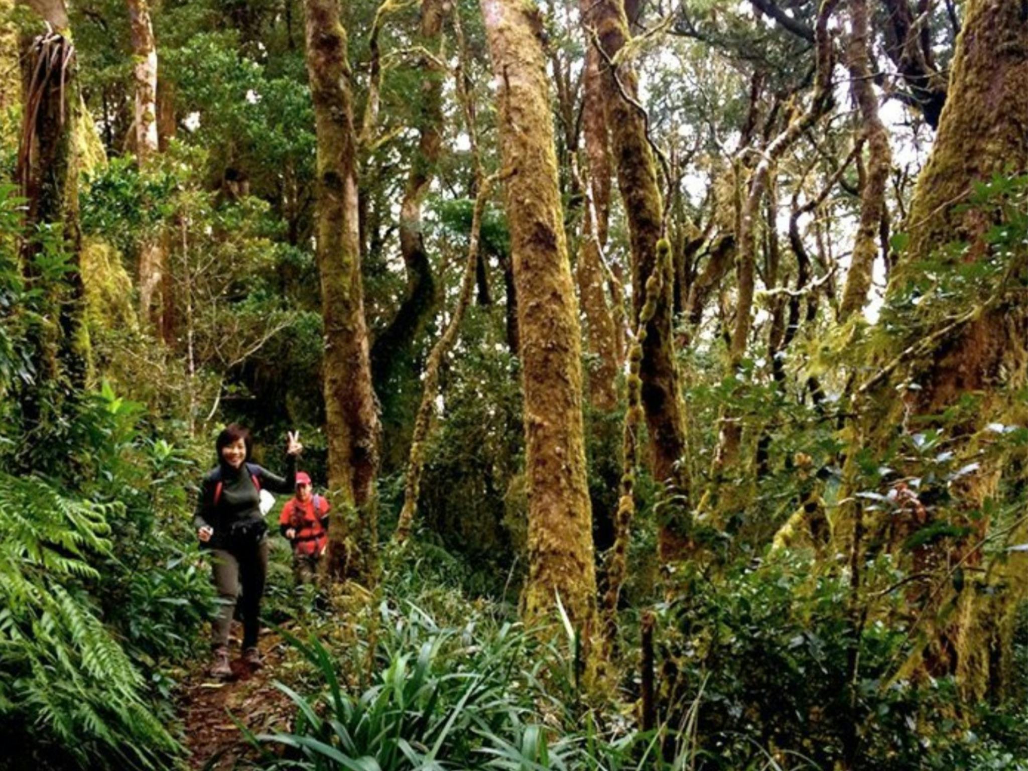 O'Reilly's Rainforest Retreat