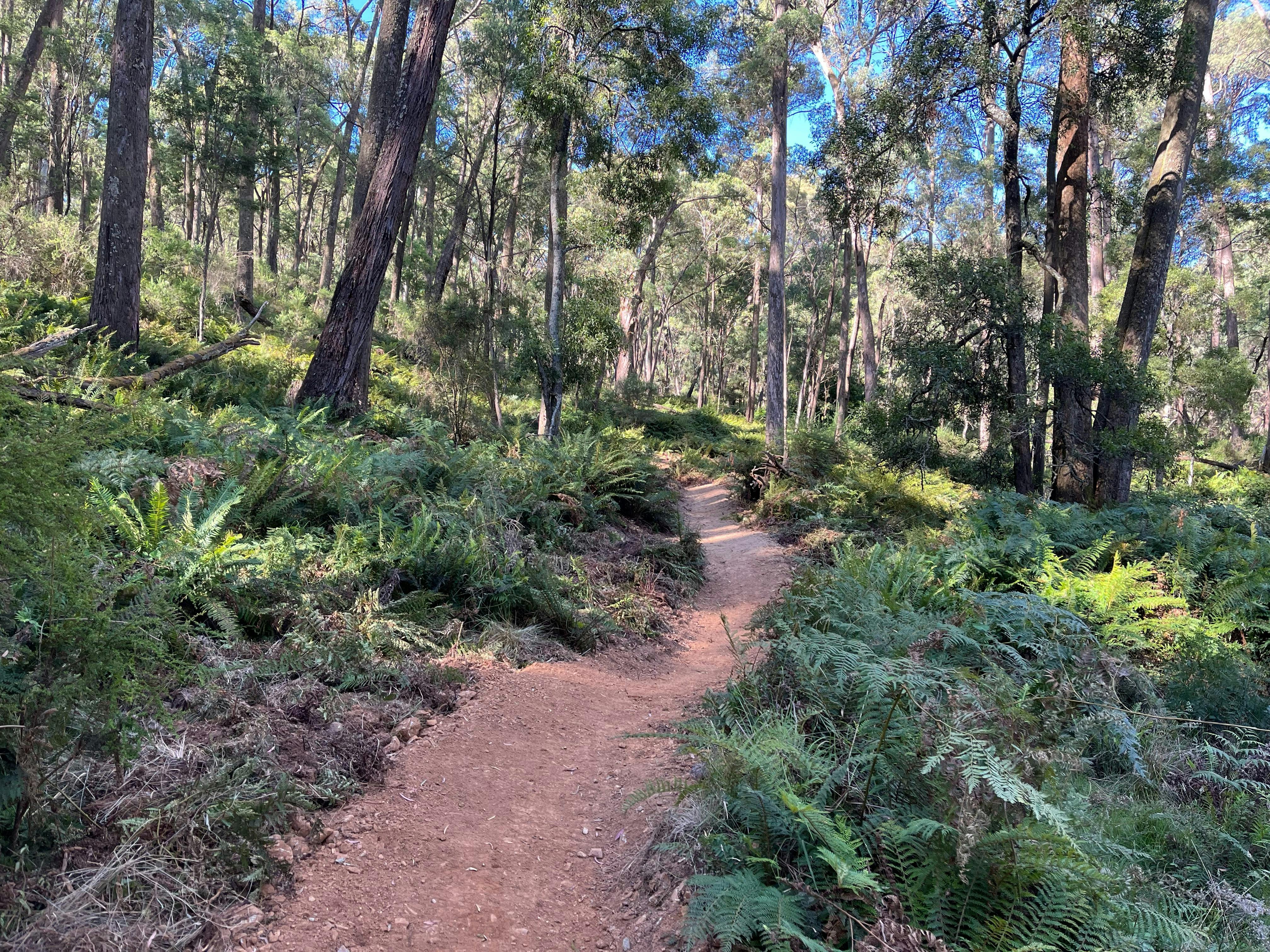 Indigo Epic MTB Trail