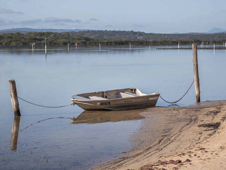 Merimbula, Boardwalk, south coast, walking