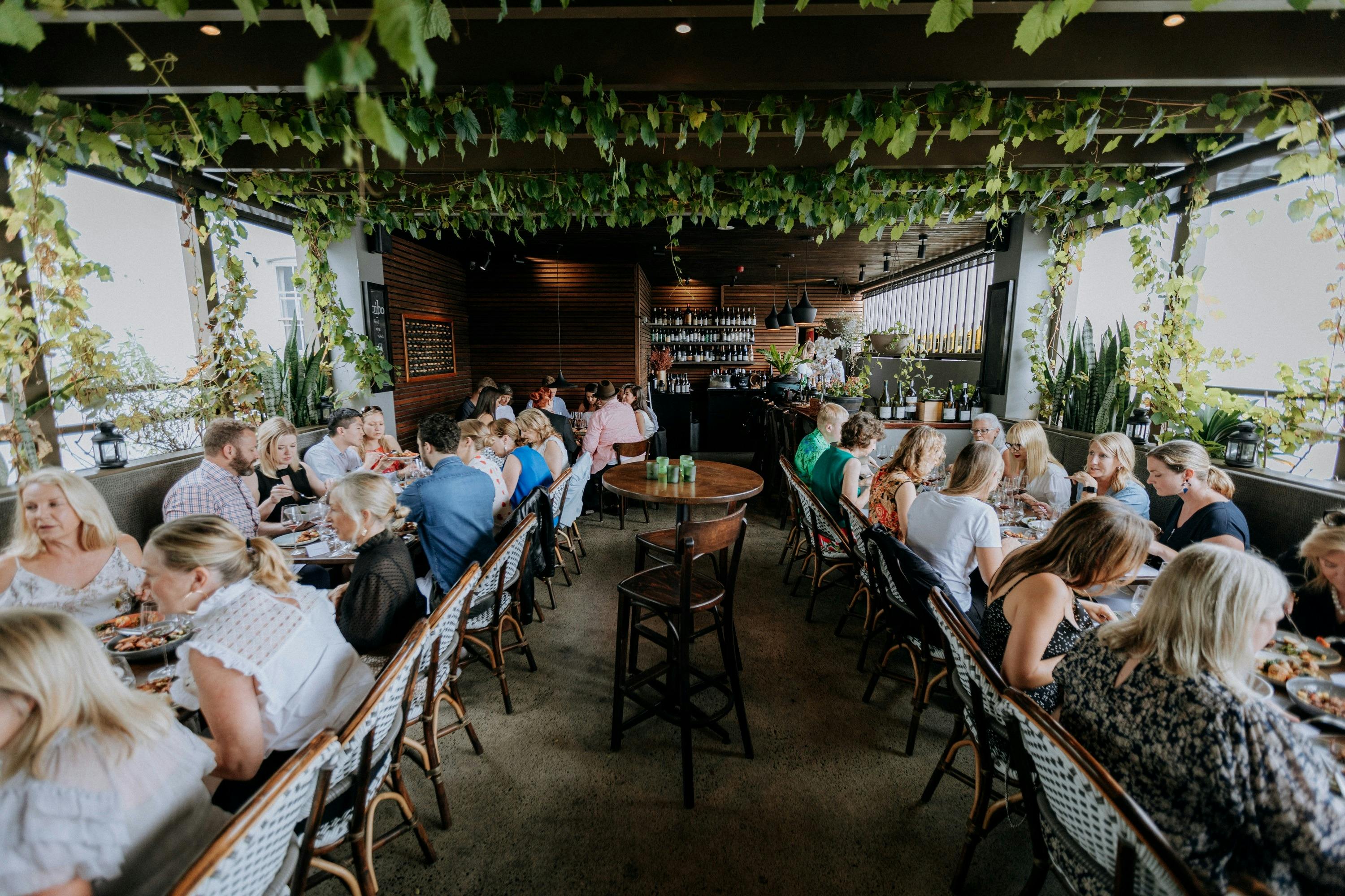 bibo Weinbar Hofveranstaltung