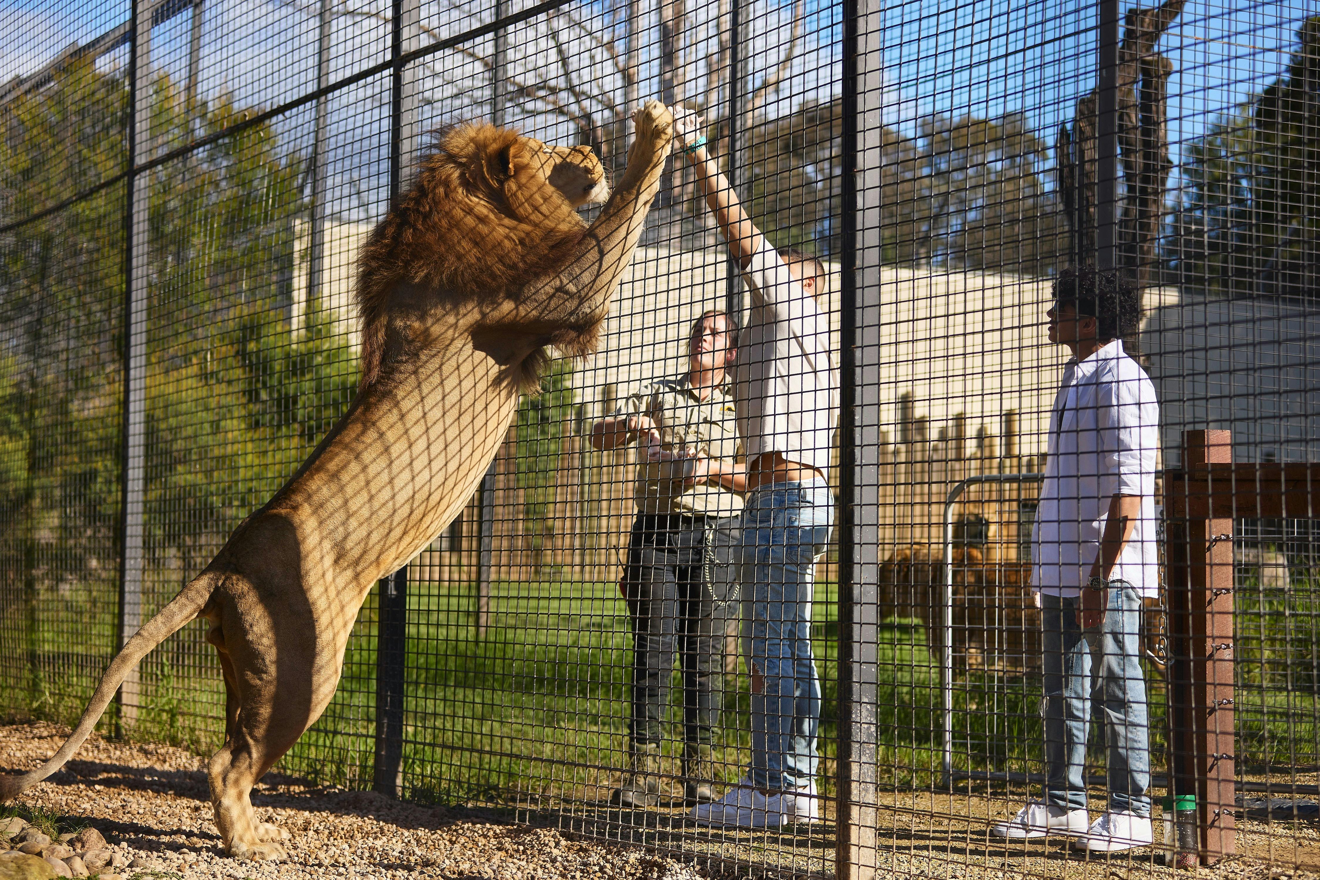 ペンリス ザンビ野生動物保護区