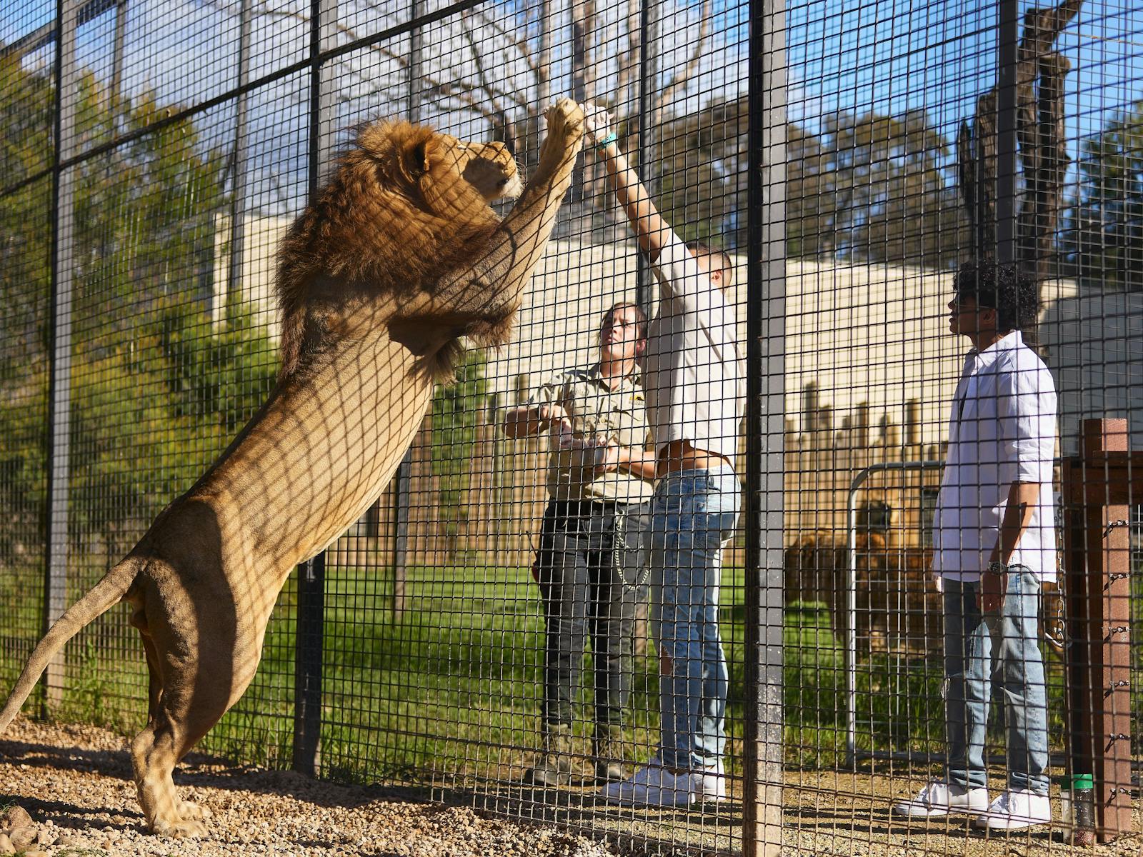 Penrith Zambi Wildlife Sanctuary