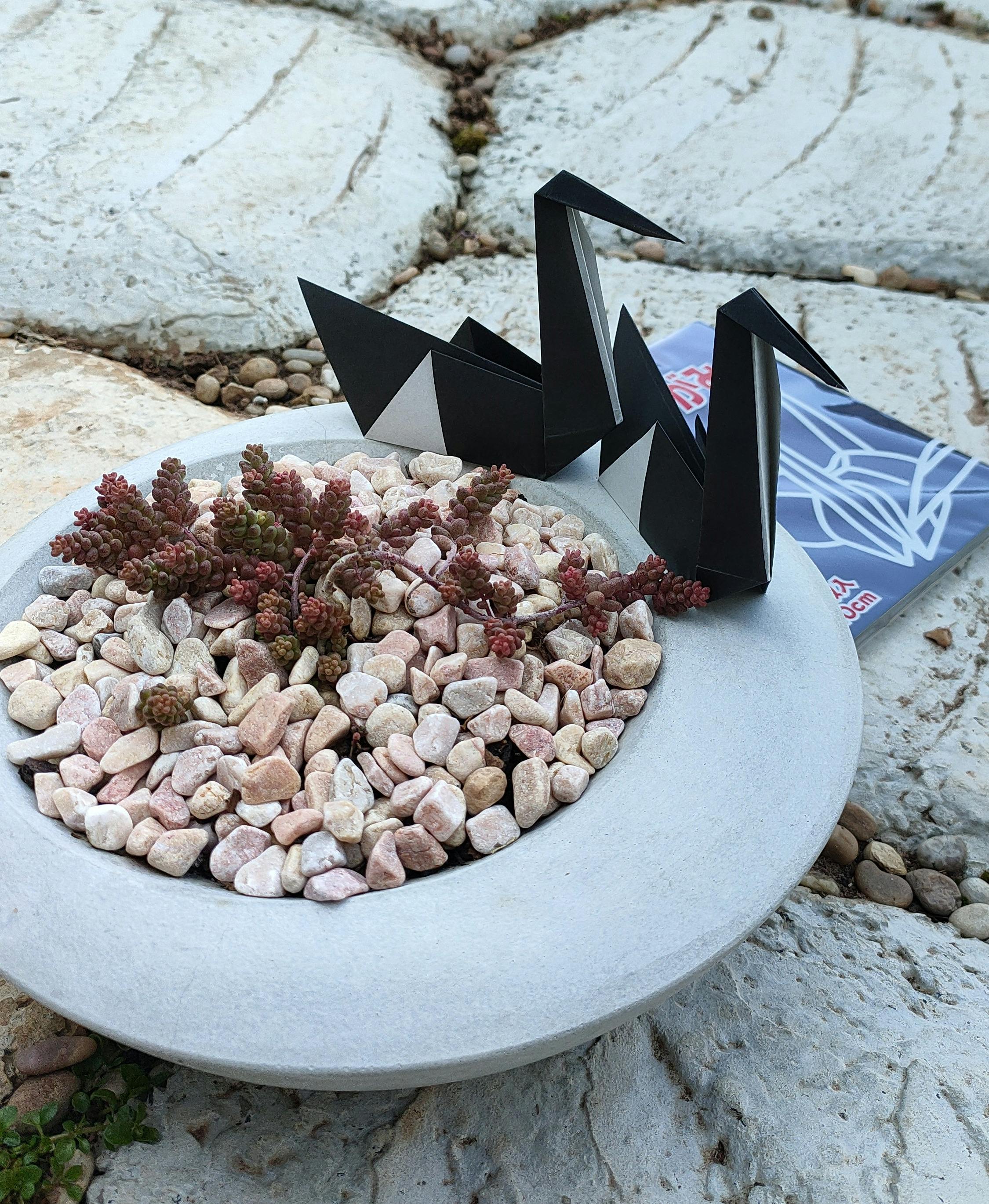 origami activity