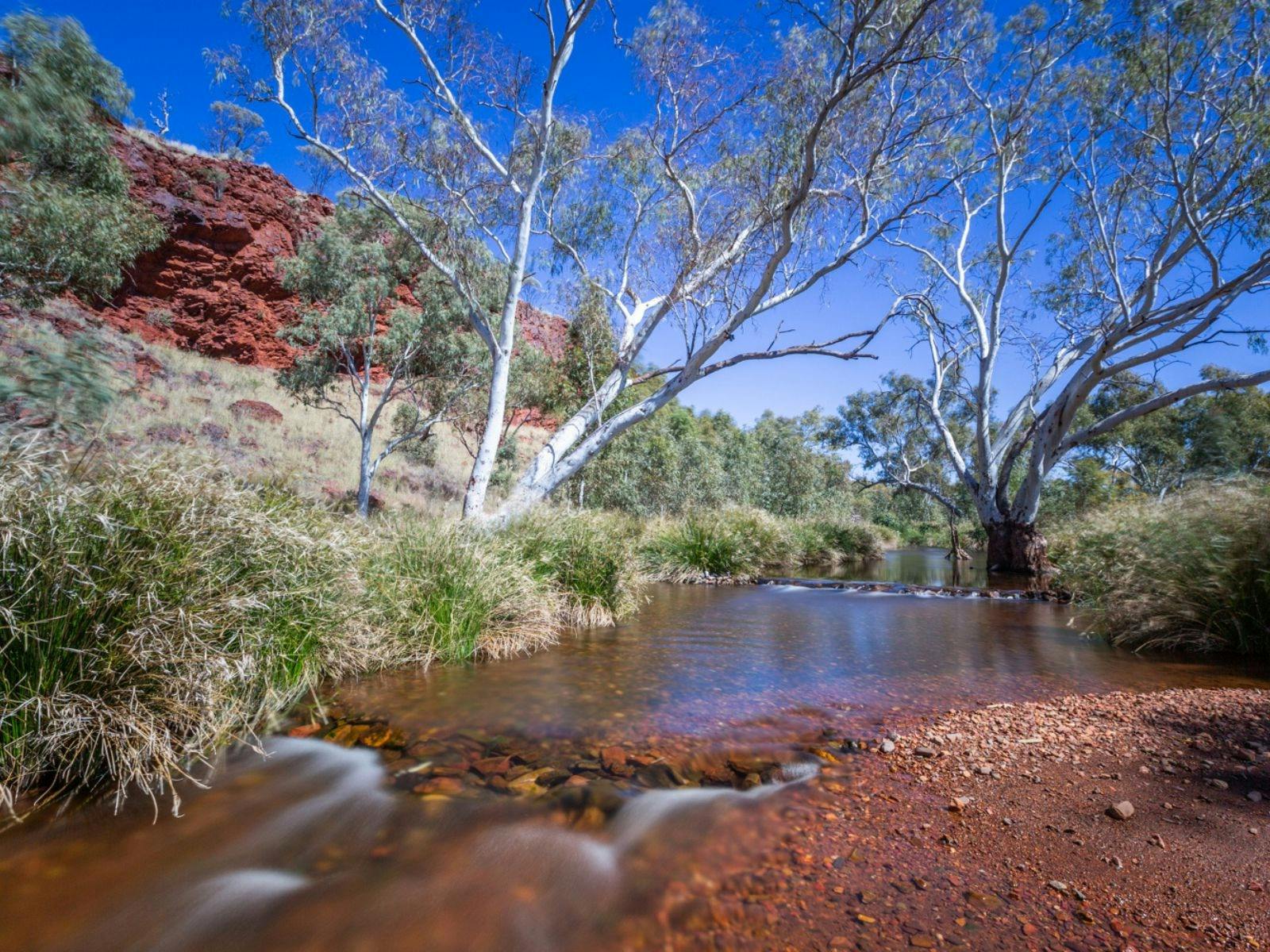 Kalgan Pool