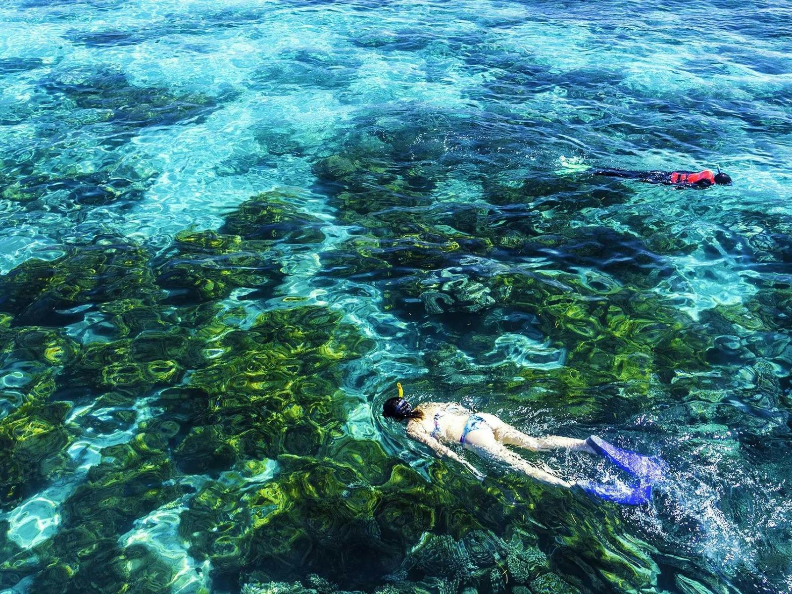 Brisbane to Cairns Adventure