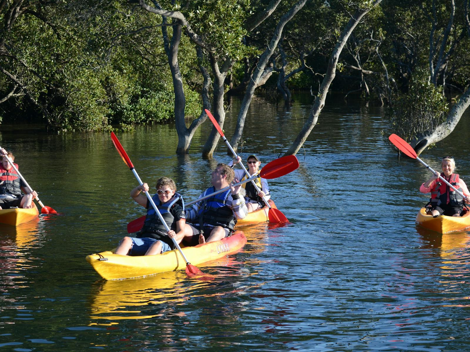 Currambene Creek Man 红树林