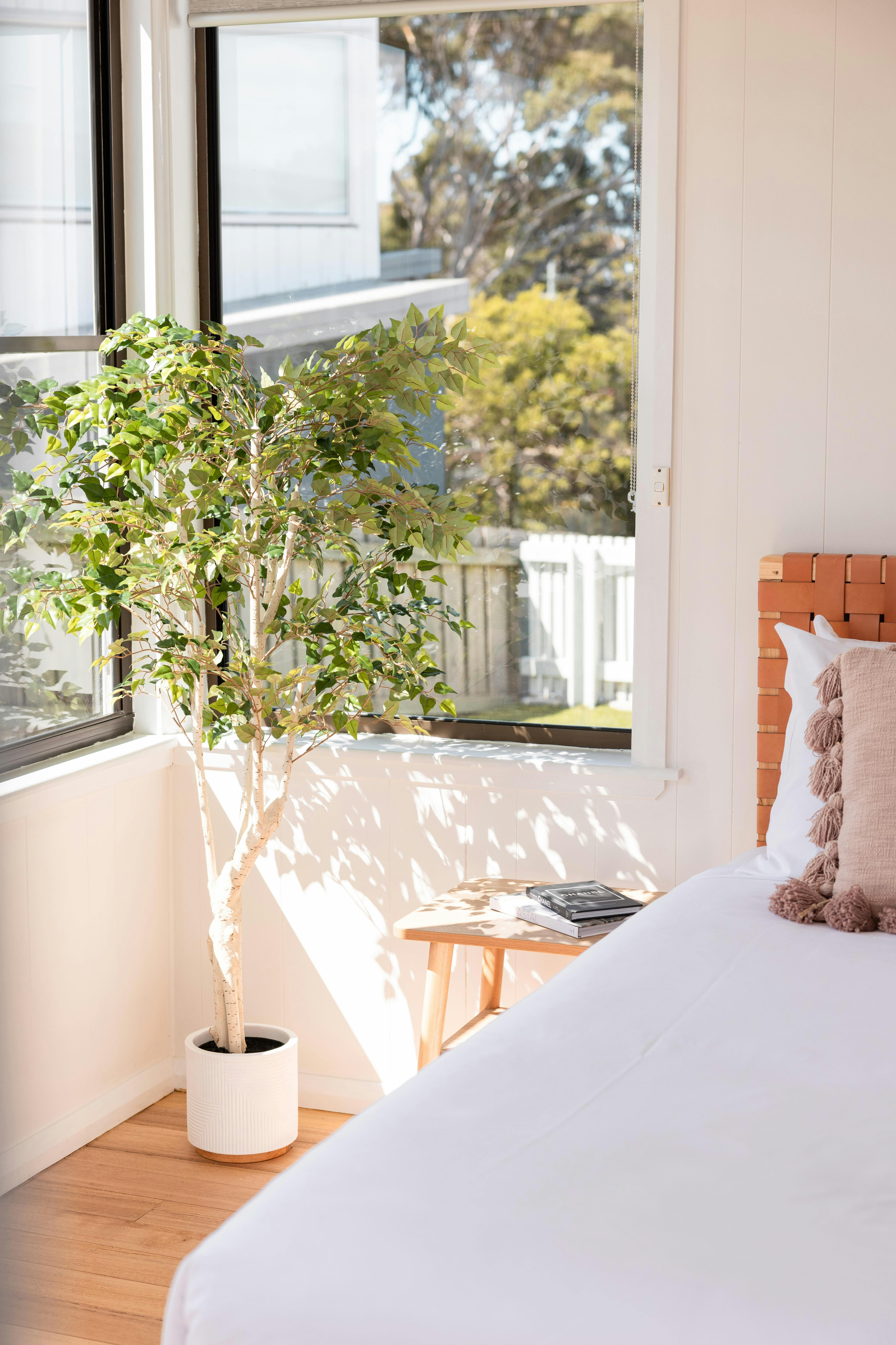 Corner of a bedroom with a potted plant, bedside table, and decorative pillows on a sunlit bed
