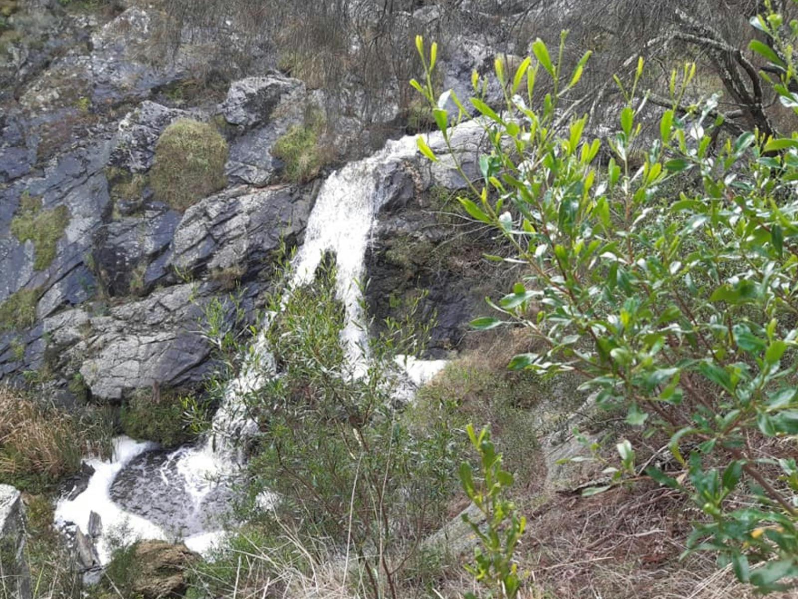 Beautiful Hindmarsh Falls.