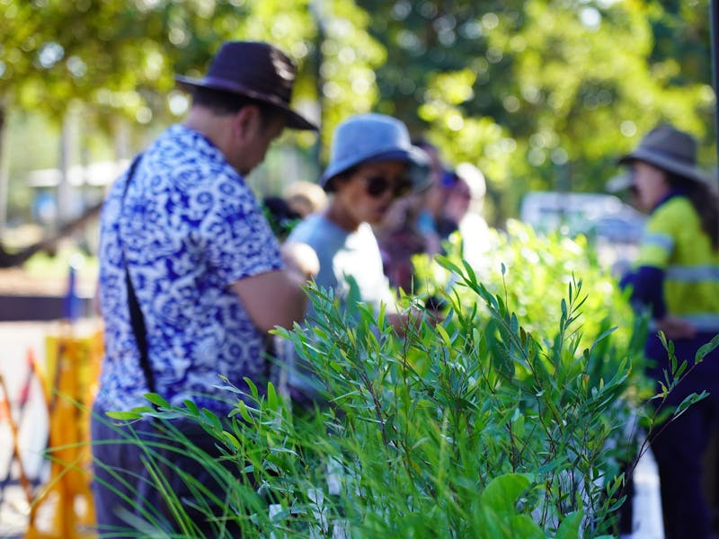 Image for Top End Native Eco-Fair & Plant Sale