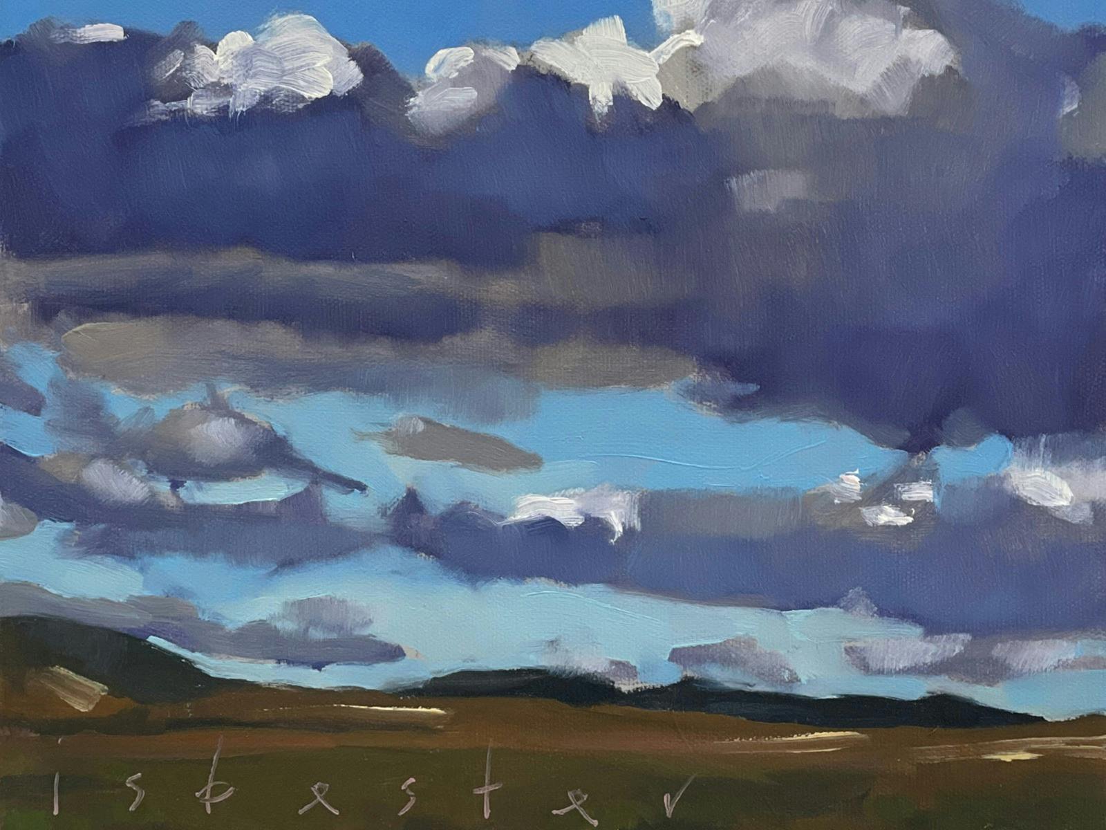 짙은 회색 구름이 떠 있는 드넓은 하늘의 풍경화