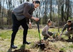 National Tree Day in Wagga Wagga