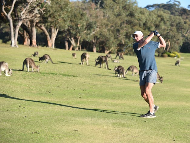 Anglesea Golf Club